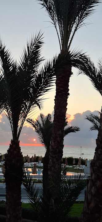 Ausblick Iberostar Waves Averroes