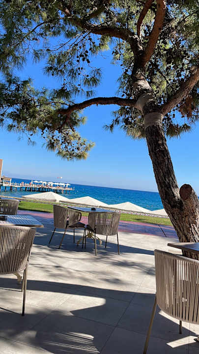 Gastro TUI MAGIC LIFE Beldibi +16