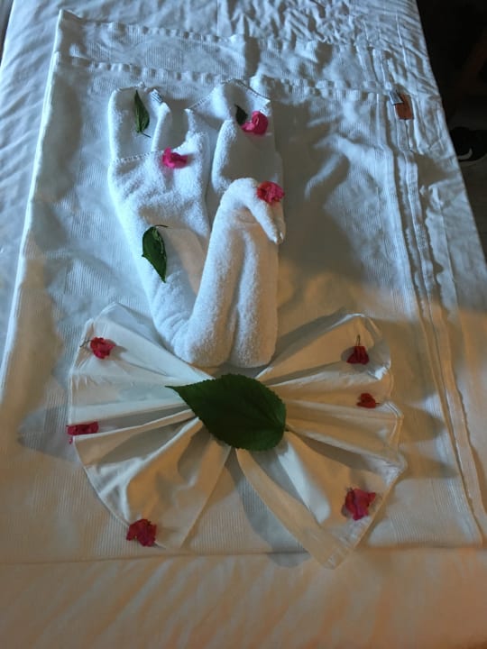 Zimmer Asteria Family Belek