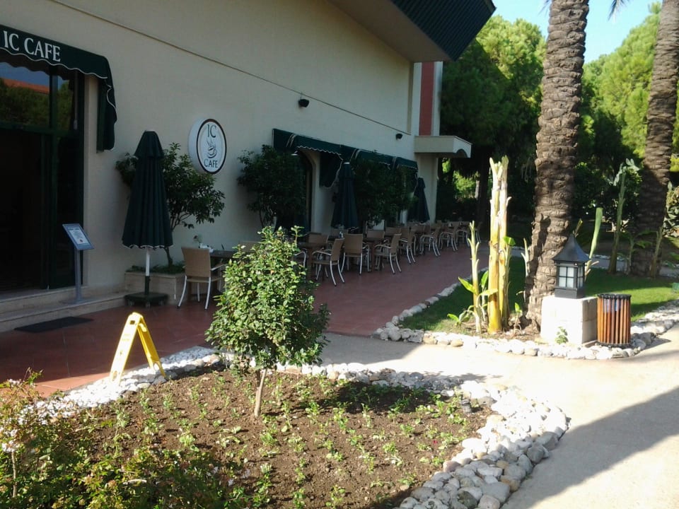 IC Cafe IC Hotels Green Palace