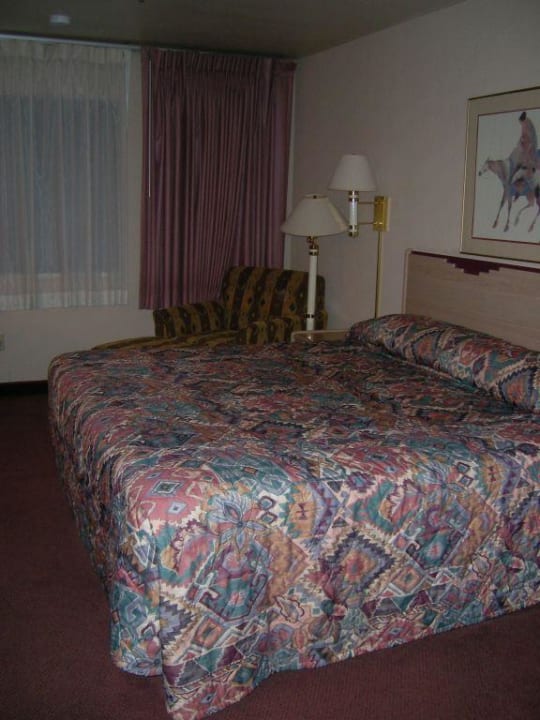 Bett The Squire at Grand Canyon