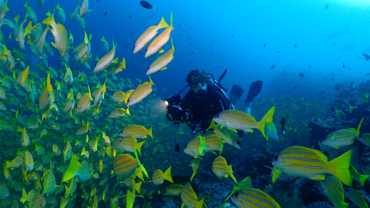 Boutique Beach All Inclusive Diving Hotel Boutique Beach All Inclusive Diving Hotel