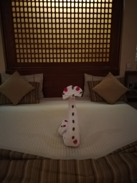 Zimmer Grand Waterworld Makadi & Family Star Makadi