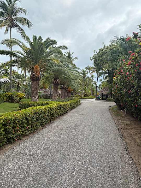 Gartenanlage Grand Palladium Punta Cana Resort & Spa