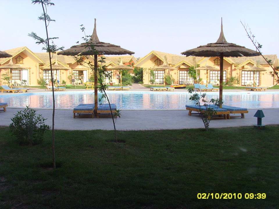 Вид из окна Pickalbatros Jungle Aqua Park Resort - Neverland Hurghada