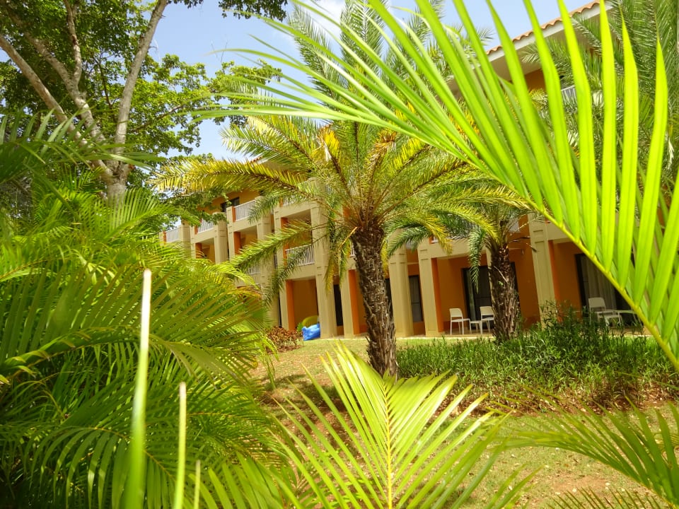 Außenansicht Hotel Viva Dominicus Palace by Wyndham-All Inclusive Resort