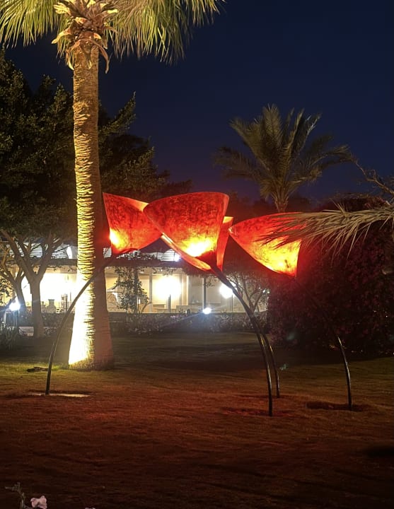 Gartenanlage Desert Rose