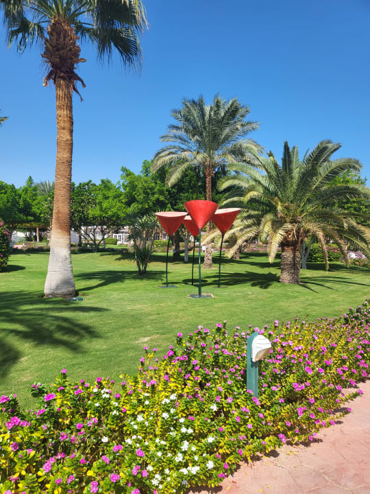 Gartenanlage Desert Rose