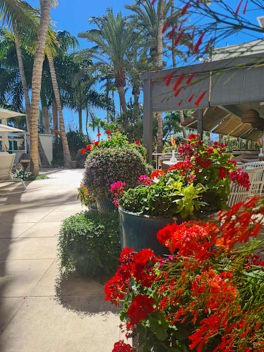 Gartenanlage Hotel Fariones