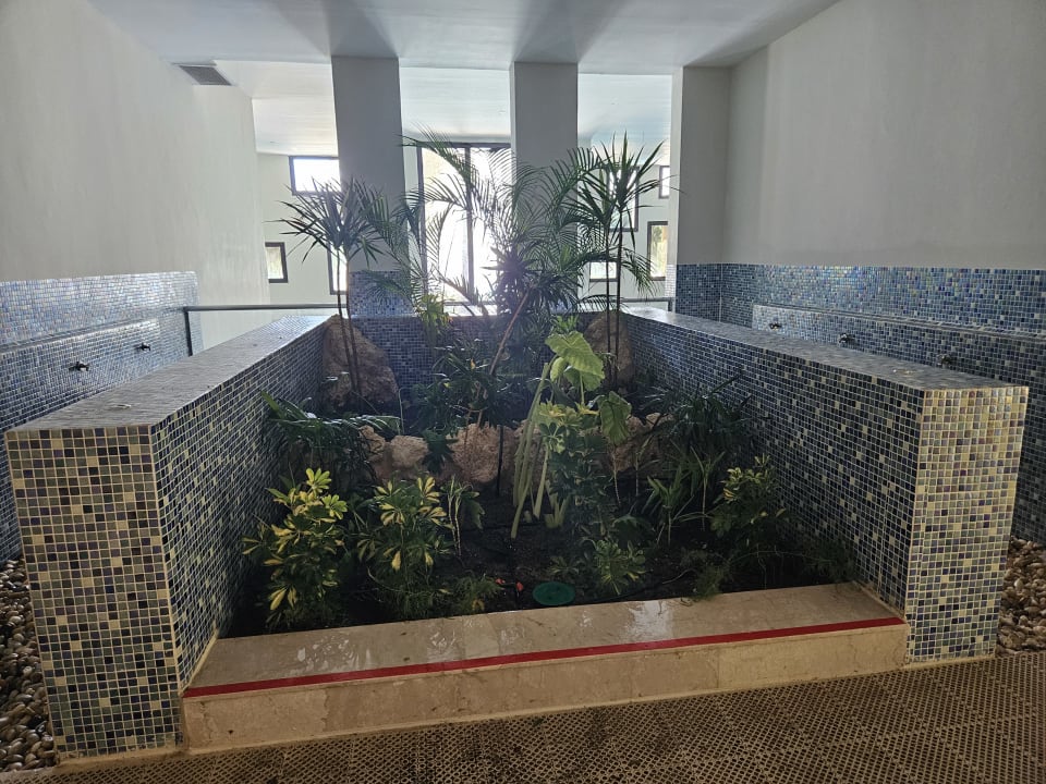 Pool Makadi Spa - Adults only