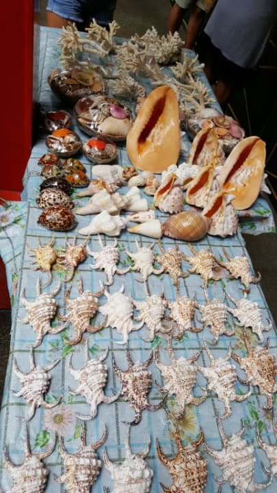 Stragan z zakazanymi pamiątkami Berjaya Beau Vallon Bay Resort & Casino