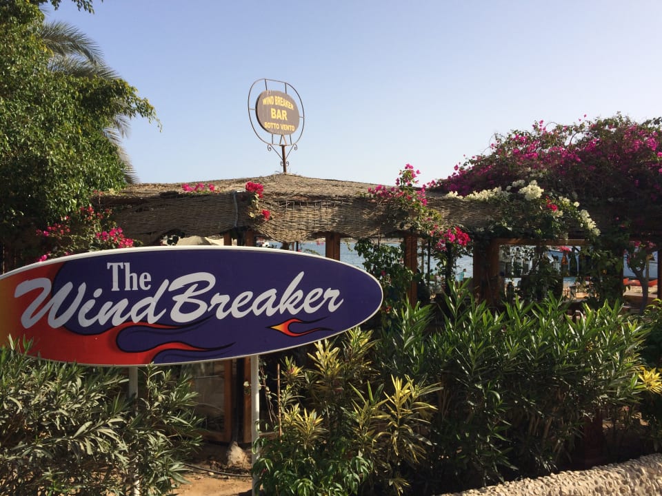 Gastro Fort Arabesque Resort, Spa & Villas