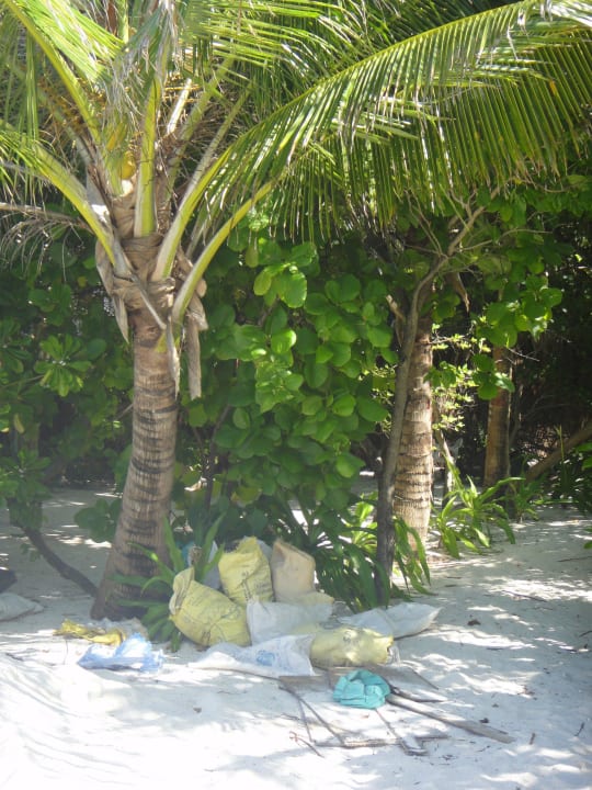 Leider auch am Übergang zum Strand Summer Island Maldives