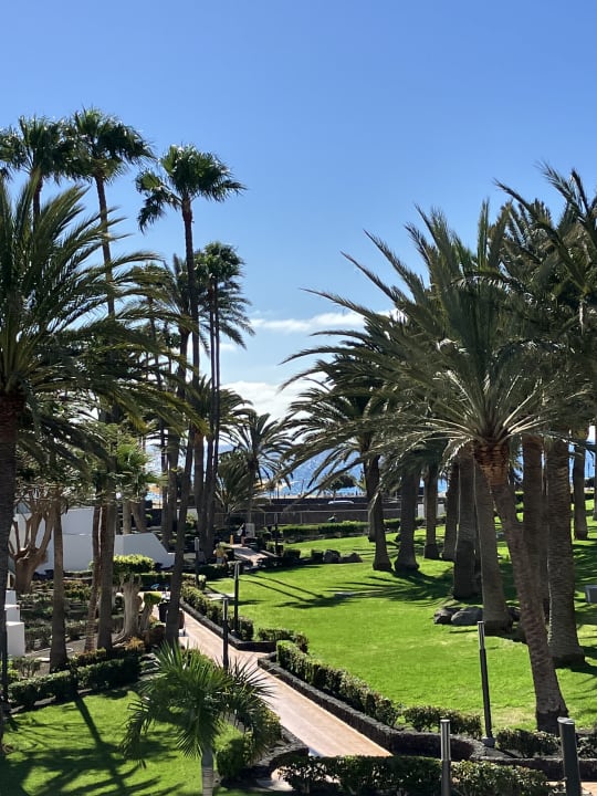 Gartenanlage Hotel Riu Paraiso Lanzarote