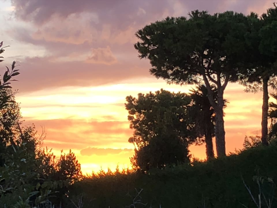 Ausblick Apartment Village Albarella Rosolina