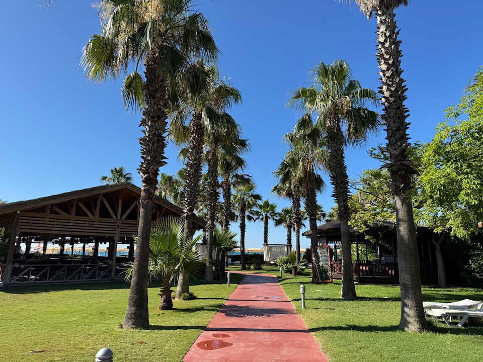 Gartenanlage Saturn Palace Resort Hotel