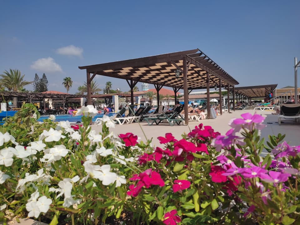 Pool Hotel Club Nena