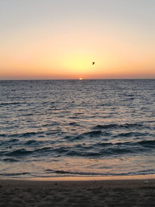 Sonnenaufgang Coral Sun Beach