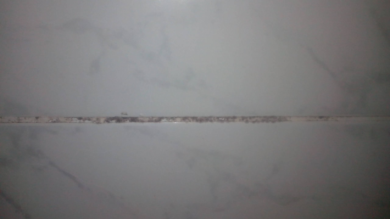 Badfugen Desert Rose