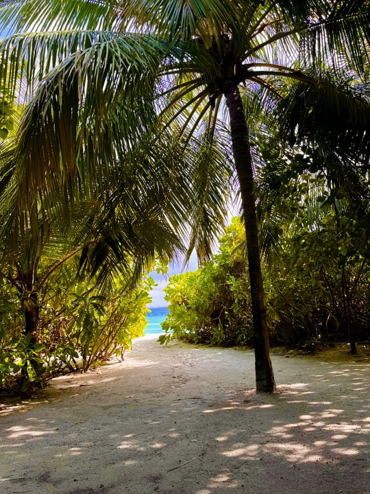 Ausblick Kudafushi Resort & Spa
