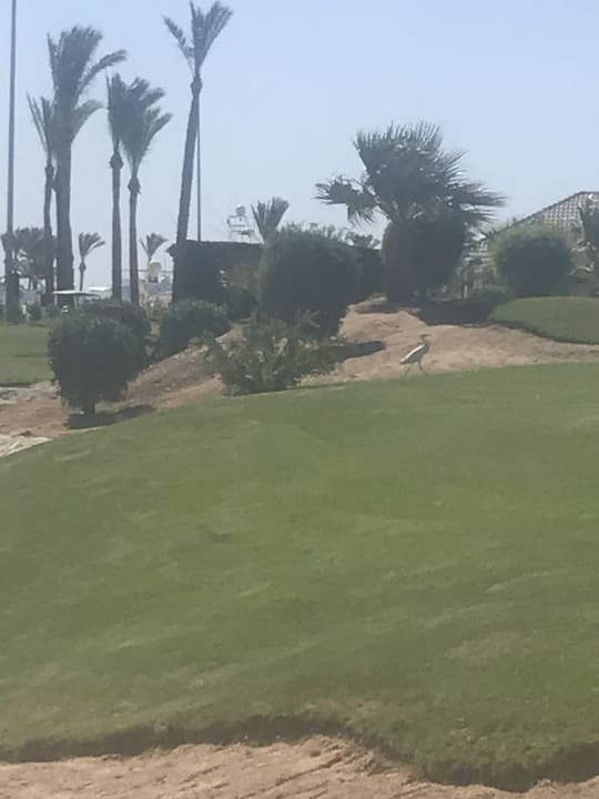 Gartenanlage Steigenberger Aqua Magic