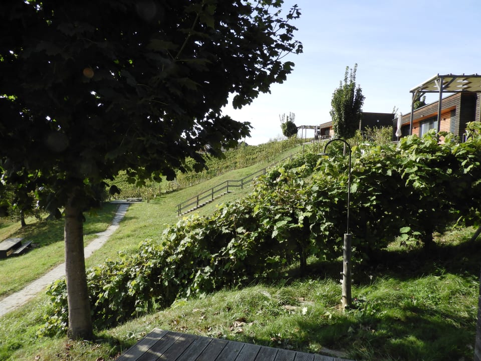 Außenansicht Weingarten-Resort Unterlamm Loipersdorf