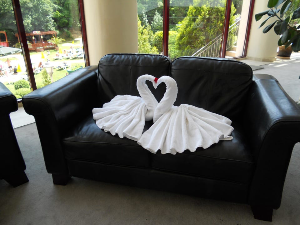 Lovely Swans Odessos Park Hotel