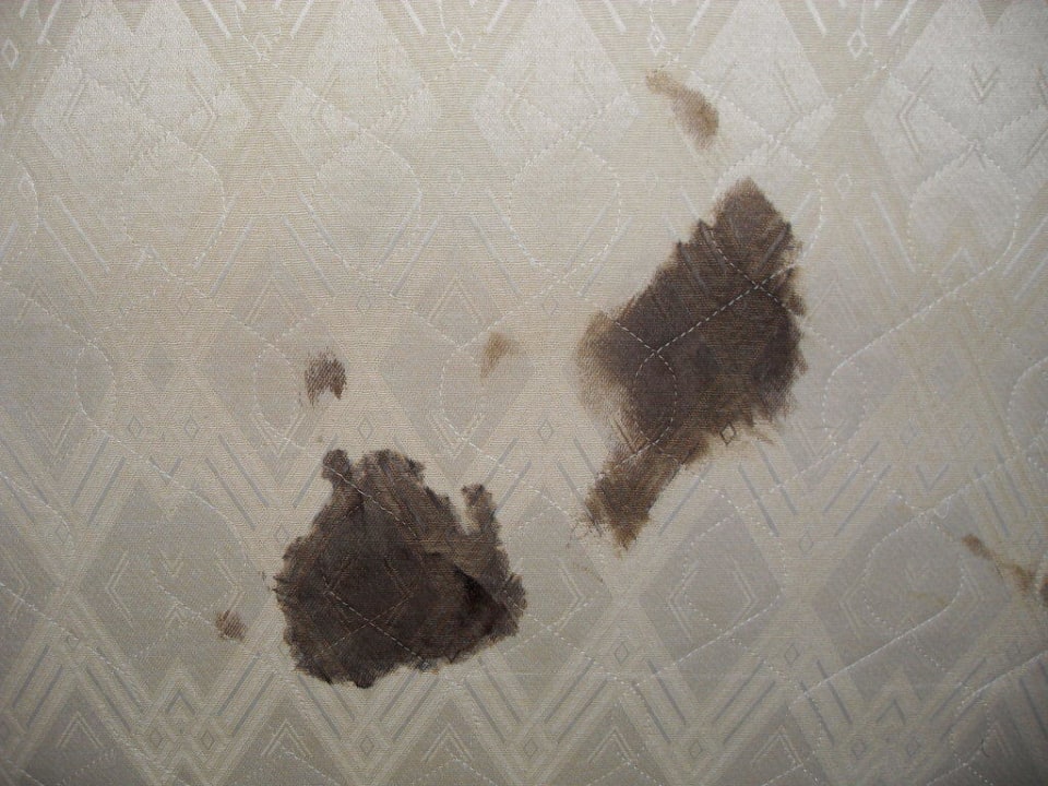 Igitt enjoy hotel Berlin City Messe