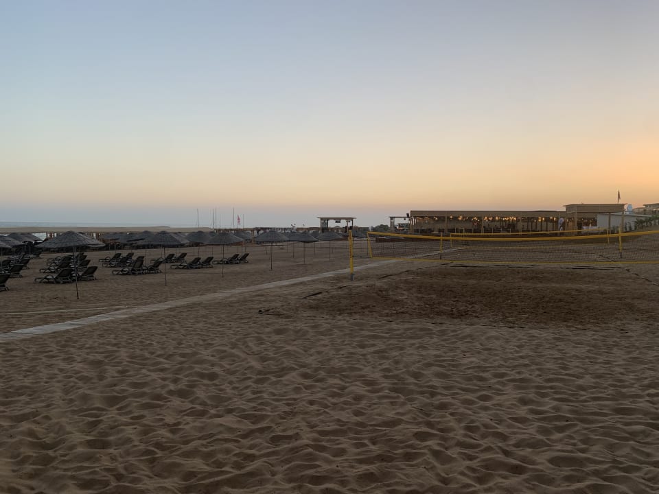 Strand TUI MAGIC LIFE Jacaranda