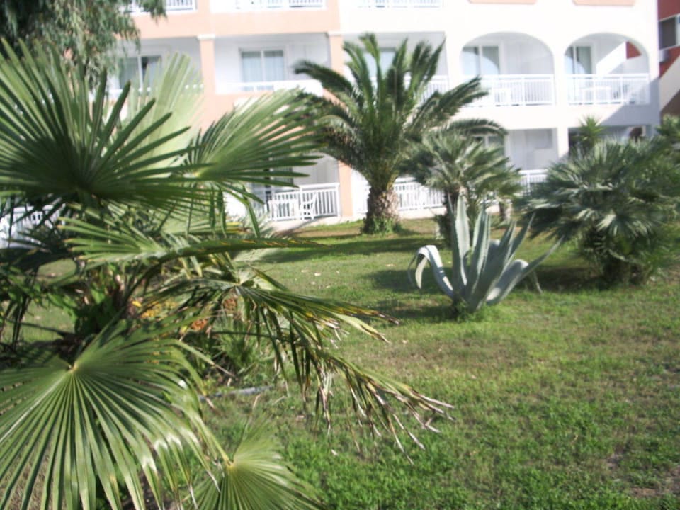 schön gestaltete Gartenanlage Sandy Beach Resort