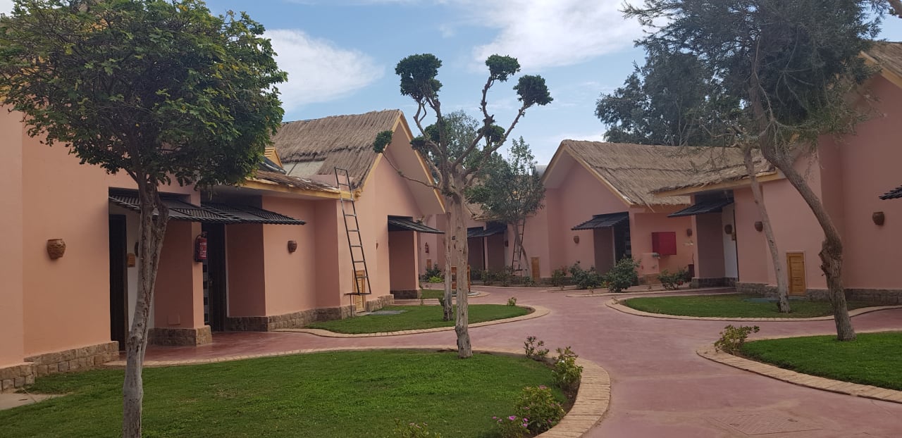 Gartenanlage Pickalbatros Jungle Aqua Park Resort - Neverland Hurghada