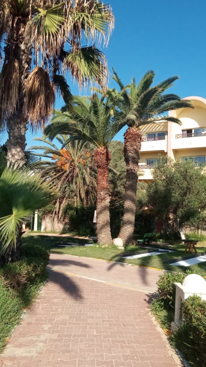 Gartenanlage Hotel Nesrine