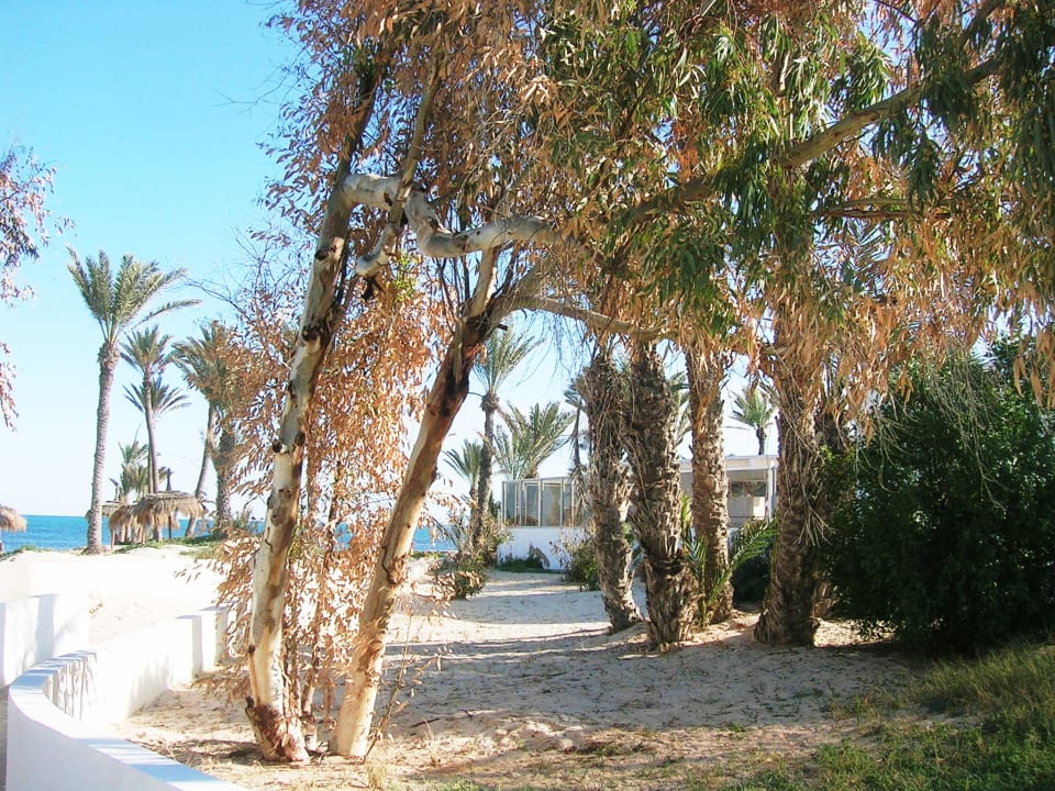 Auf zur Strandbar Hotel El Mouradi Djerba Menzel