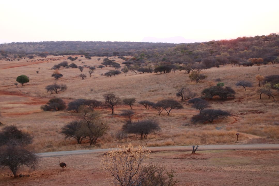 Ausblick Hannah Game Lodge