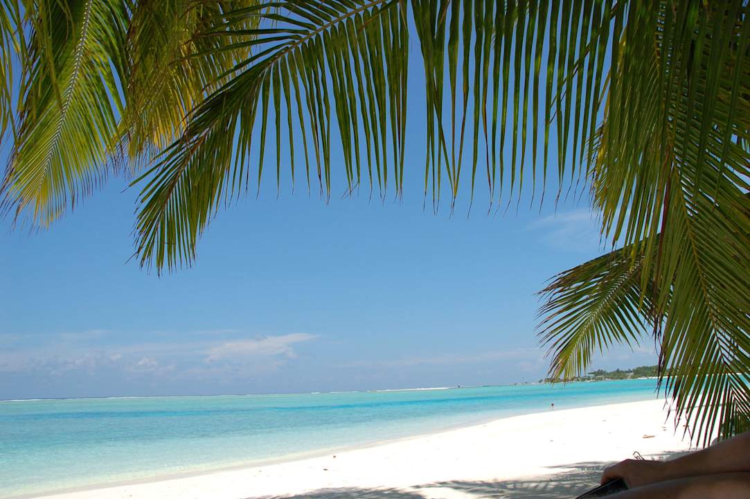 Blick von der Liege Meeru Maldives Resort Island