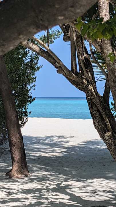 Außenansicht Summer Island Maldives