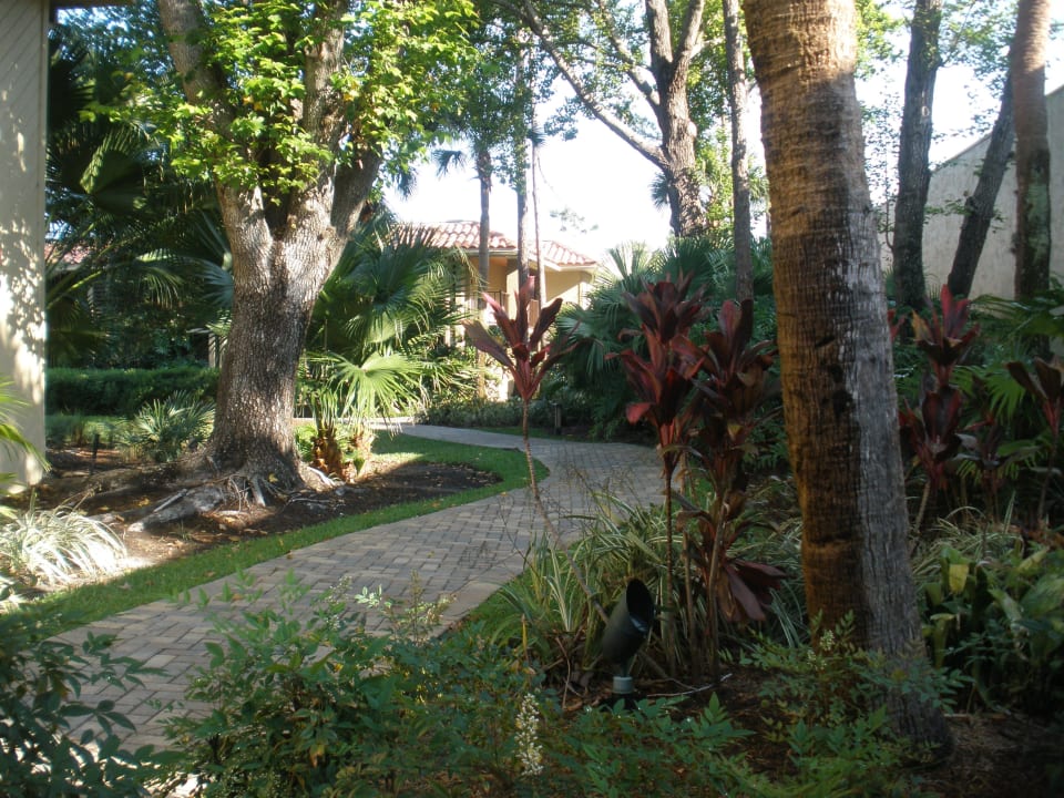 Schöne Gartenanlagen DoubleTree Hotel by Hilton Orlando at SeaWorld