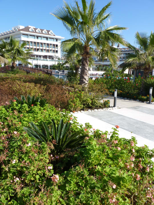 Wunderschön angelegt und gepflegte Gartenanlage Sherwood Blue Belek