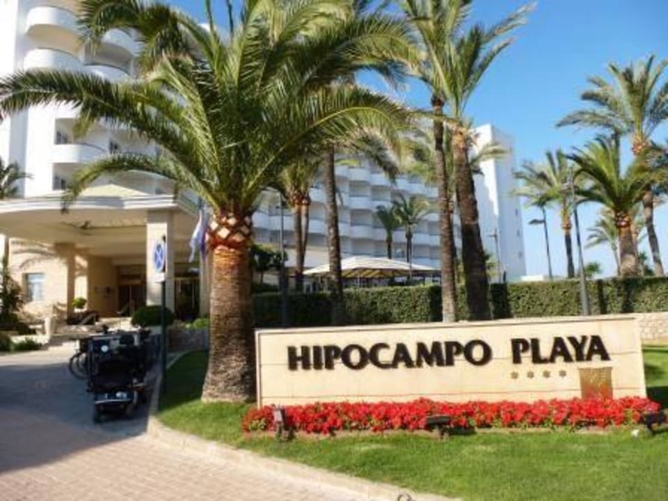 Eingangsbereich Hotel Hipotels Hipocampo Playa