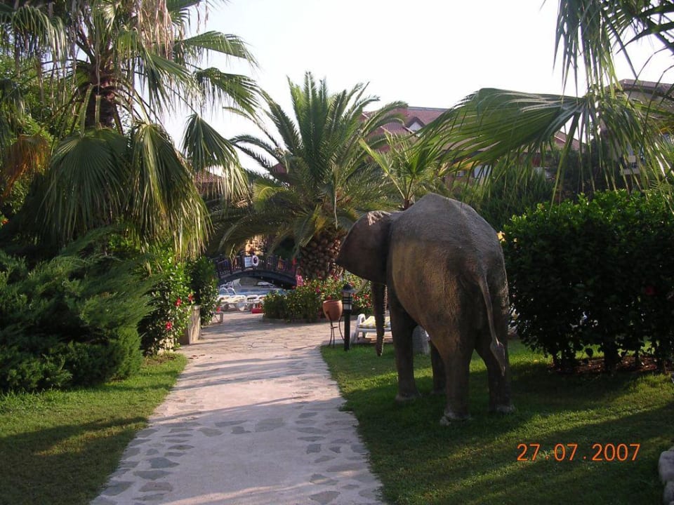 Ogród Alba Resort Hotel