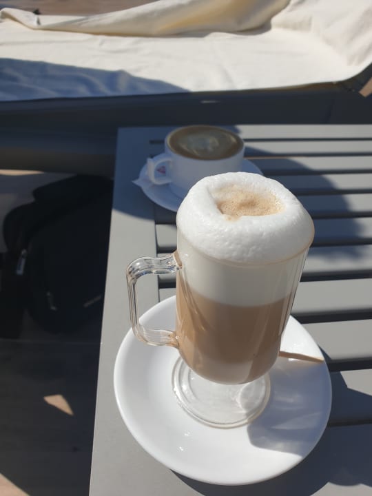 Gastro Acanthus Cennet Barut Collection