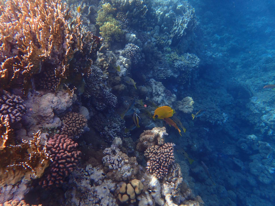 Strand Three Corners Equinox Beach Resort