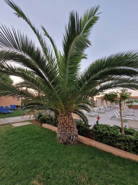 Gartenanlage Anissa Beach & Village