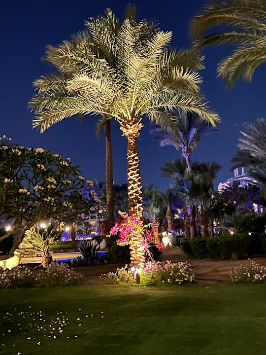 Gartenanlage Steigenberger ALDAU Beach Hotel