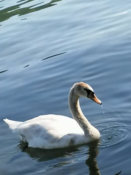 Strand Seehotel Birkenhof