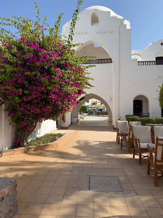 Gartenanlage Arabella Azur Resort