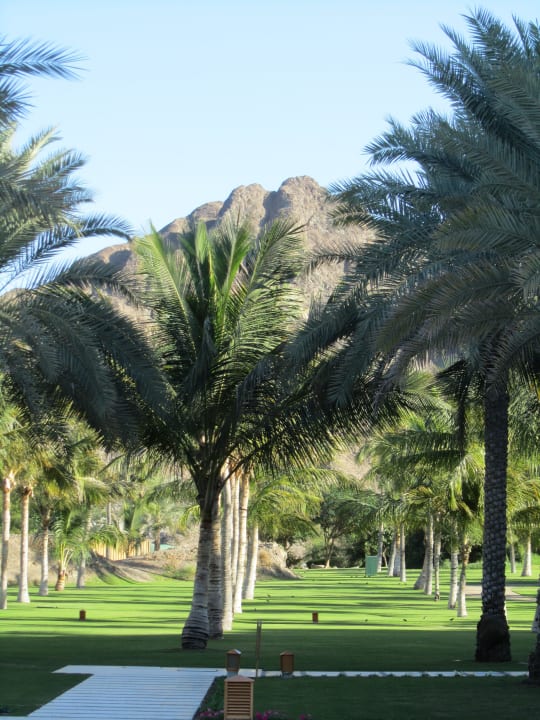 Wunderschöne Gartenanlage Al Bustan Palace - A Ritz-Carlton Hotel