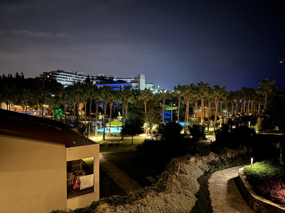 Ausblick Arum Barut Collection