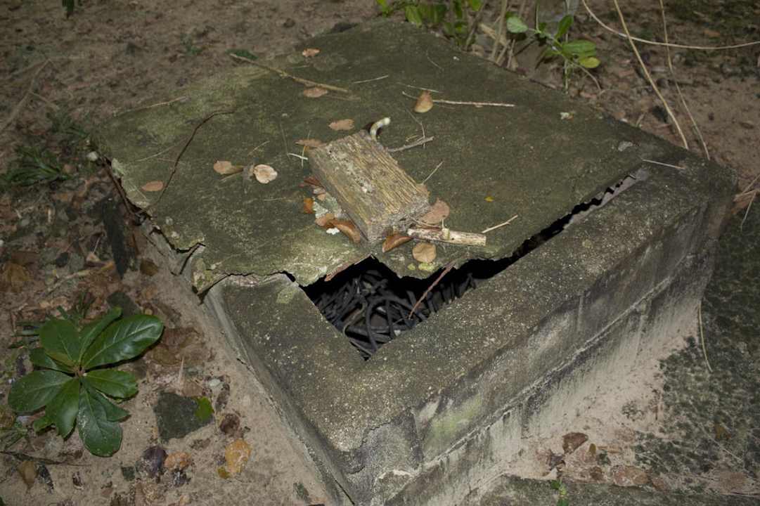 Gepflegte Gartenanlage Hotel Coral Island Resort