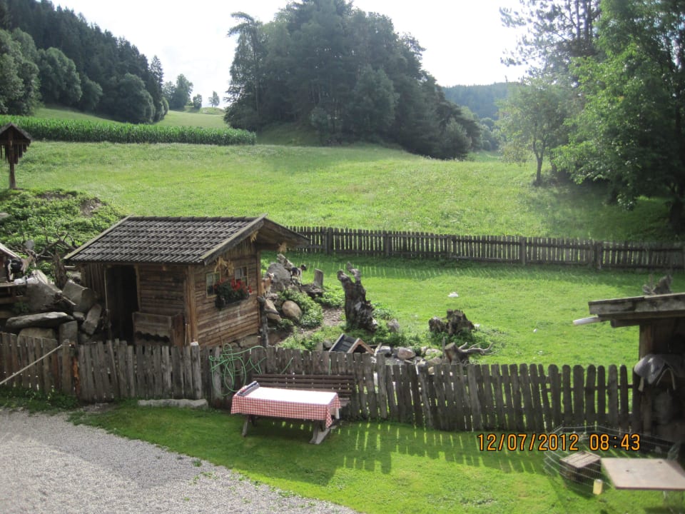 Streichelzoo Oberwieserhof